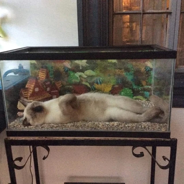 Напомню