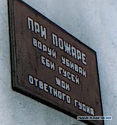 Самый гуманный суд в мире.