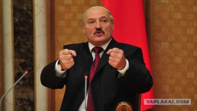 Зачем добру пропадать?
