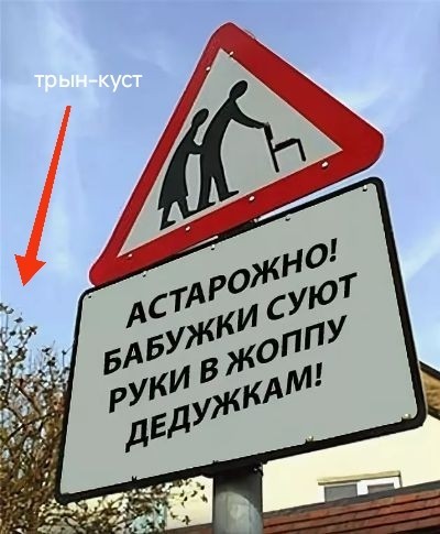 К Звездам! Дичь