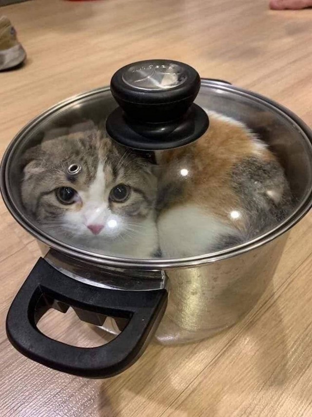 С днём сурка
