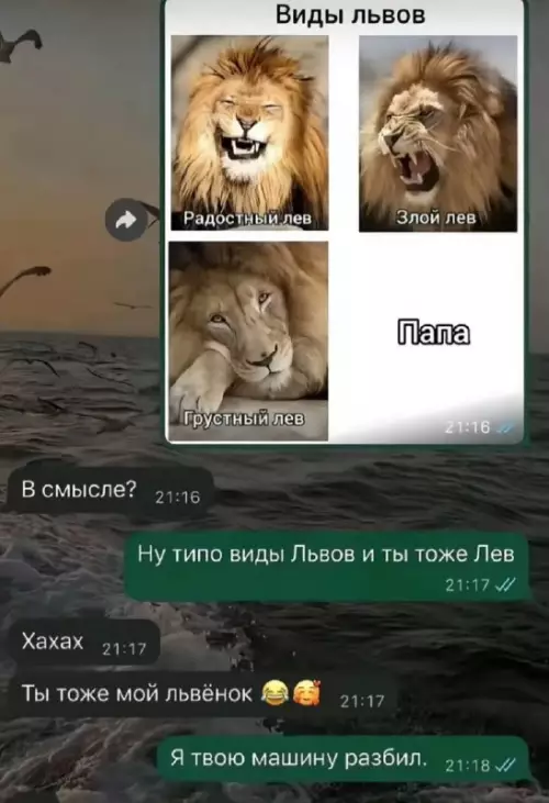 Картиночки, баянчики 27 февраля