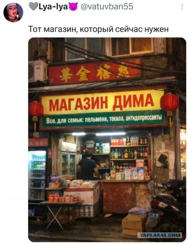 Потная гамсахурдия №3 (Картинки)