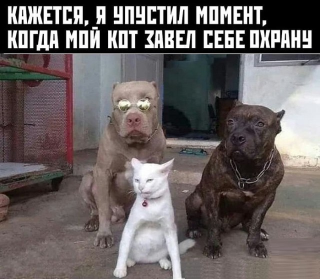 Картинки с надписями и всякие жизненные фразы 16.04.21