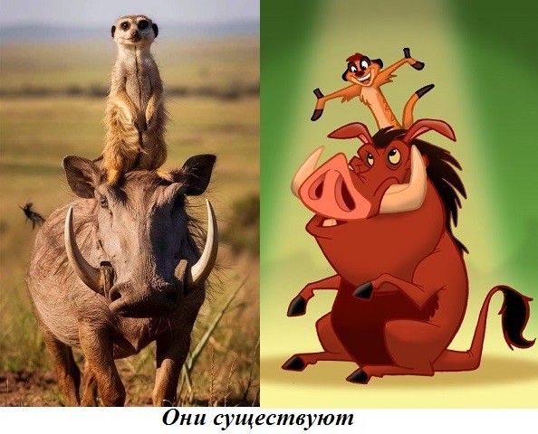 Веселое настроение в картинках 28.07.26
