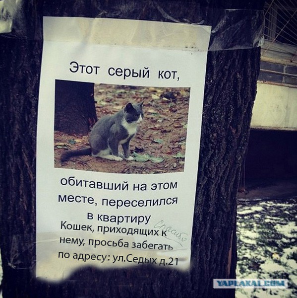 Позитив