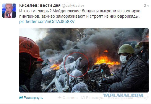 Майдан глазами милиции и Беркута