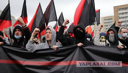 Радужный прием бандер в Харькове