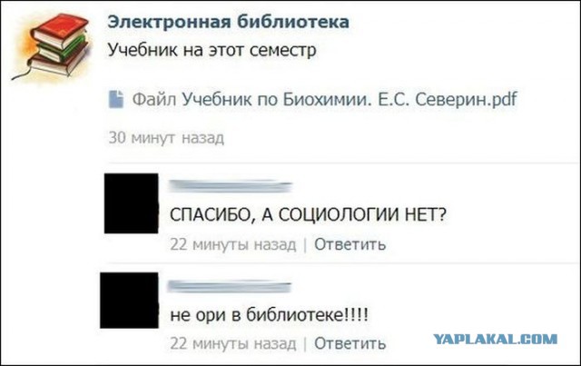 Смешные комментарии из социальных сетей.