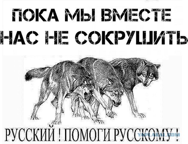 Обращение жителей Славянска к России