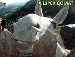 Чёрт, чёрт, чёрт!