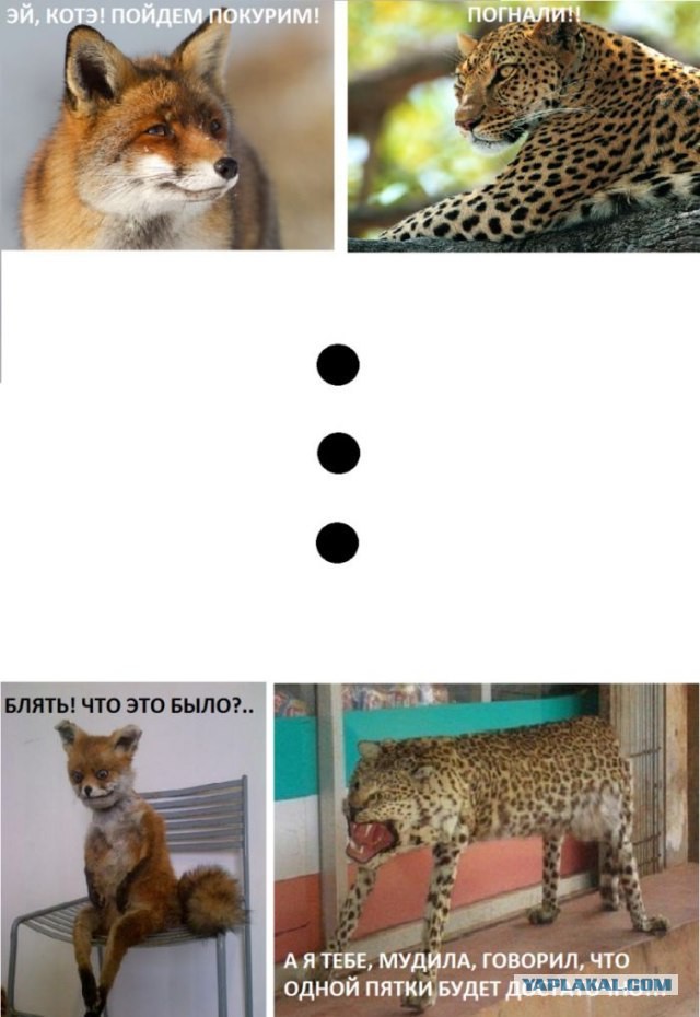 Трава не наркотик