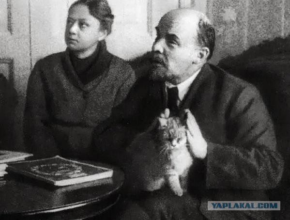 Веселые картинки