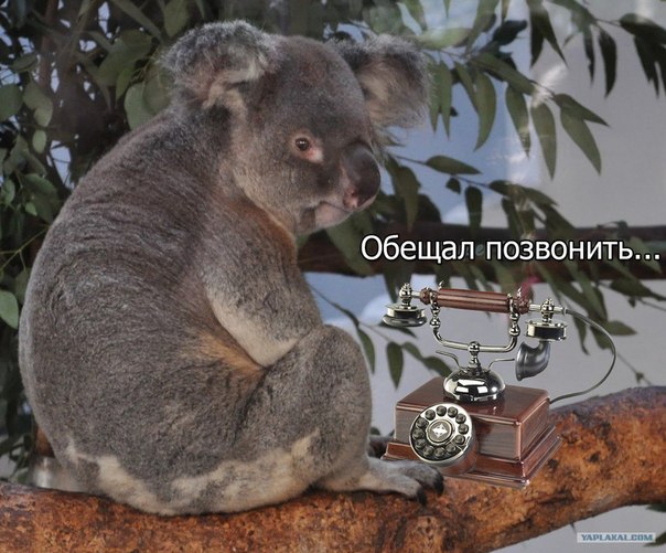 Чего раскисли,фотка атаки Боинга то не простая!