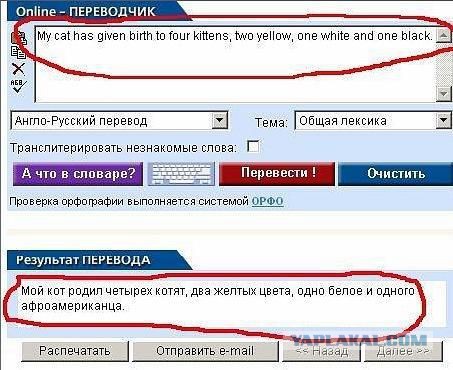 Весёлое из сети