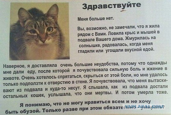 Она не кусается !