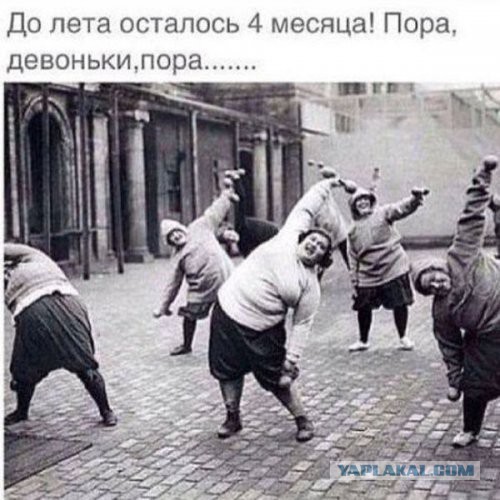 Забавные картинки.