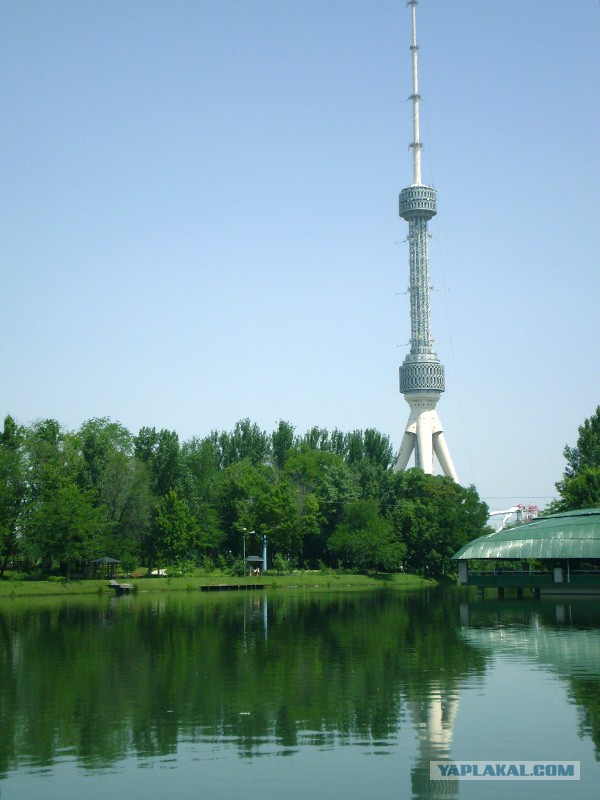 Хроники несожженного фотографа