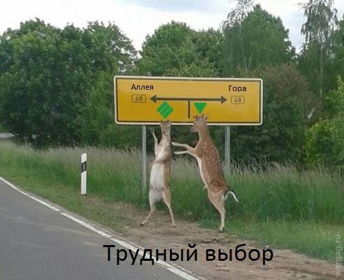 танкуем