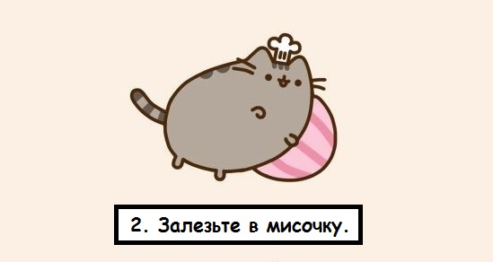 Рецептики от котика.