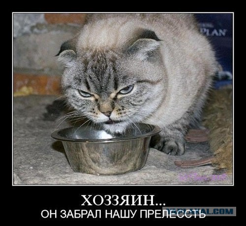 Вторник-повторник