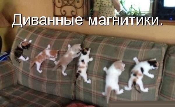 Подборка прикольных фото на пятницу