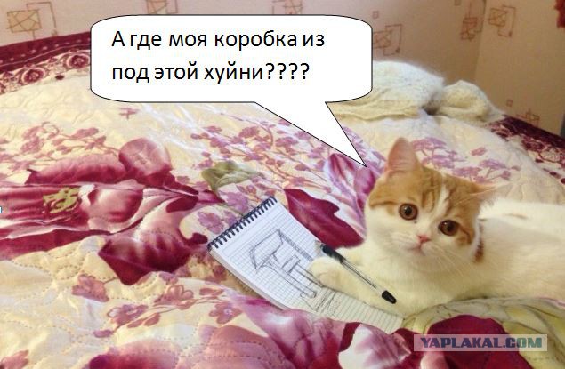 Как я коту когтеточку рукожопил