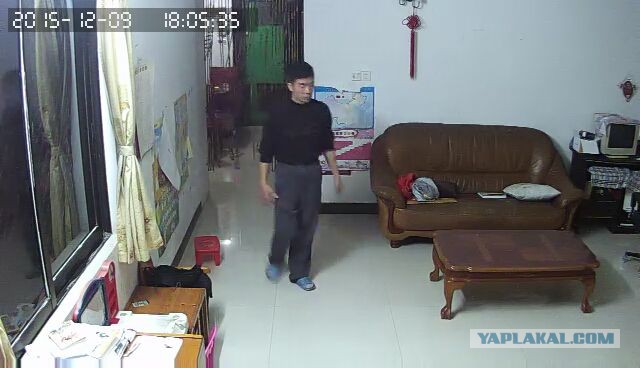 За что я люблю китайцев