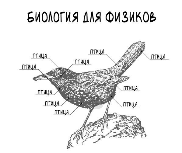 Забавные картинки из Сети