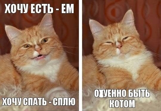 Подборка картинок из сети