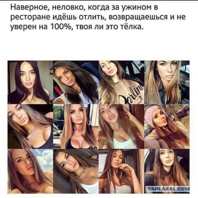 Что чувствуют мужчины, выгуливающие женщин-уток?