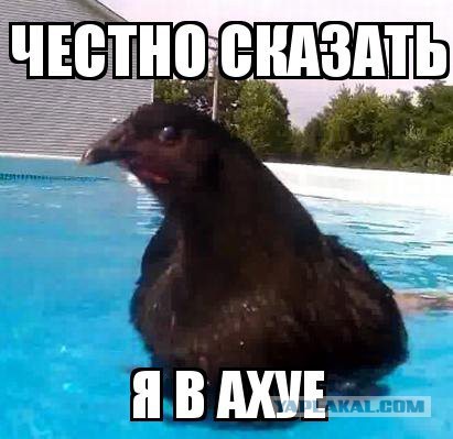 250 руб: 2 блюда на всю семью.