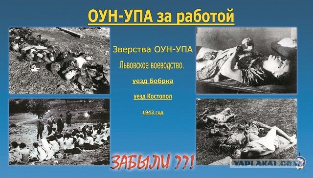 В догонку к посту про расстрелы
