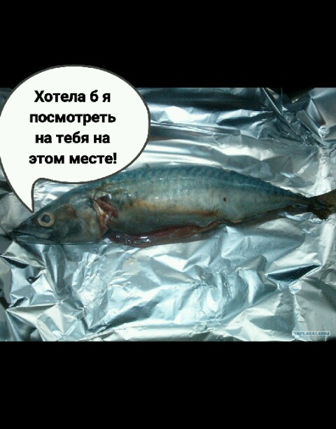 Скумбрия с молодой картошечкой или Четверг — рыбный день!