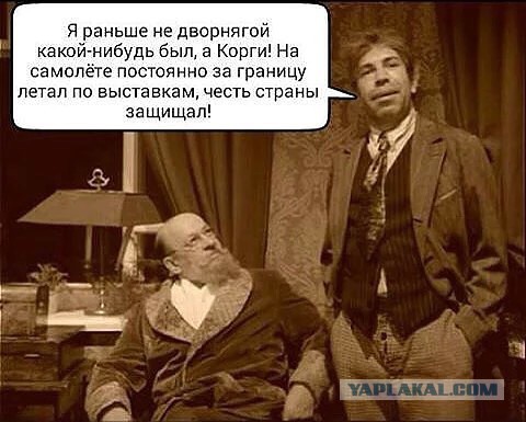 Куда уехал профессор Преображенский