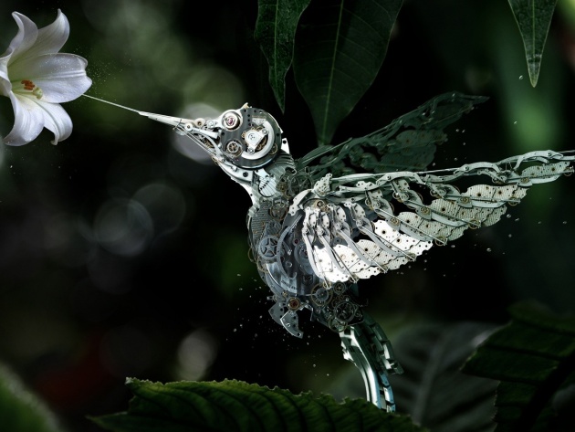 Картинки с этих ваших интернетов.