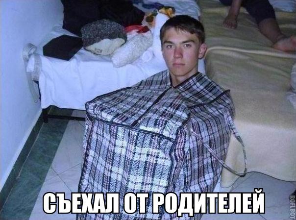 Весёлые картинки