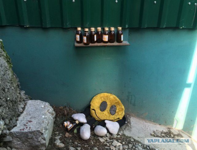 Картинки и приколы из сети