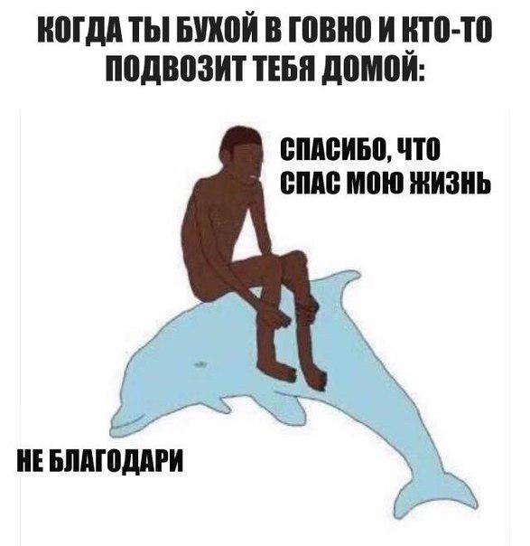Картинки со смыслом и без - 3