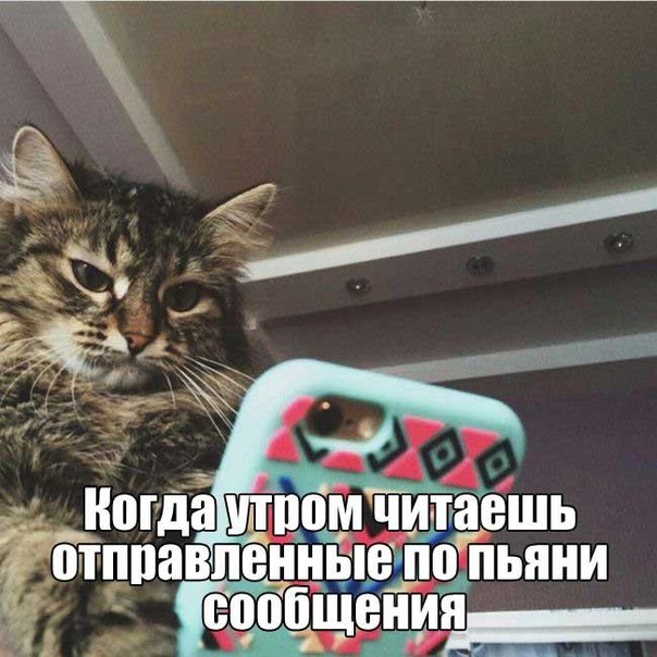 Подборка разного из сети