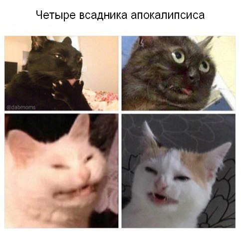 Картинки из мусорной корзинки 2