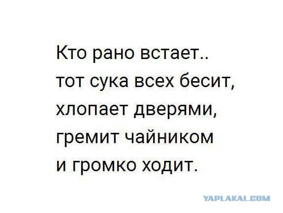Подборка интересных и веселых картинок