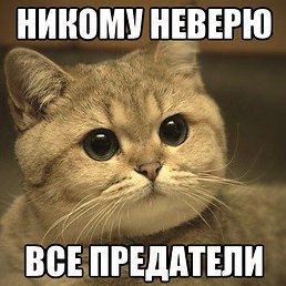 Ну дай