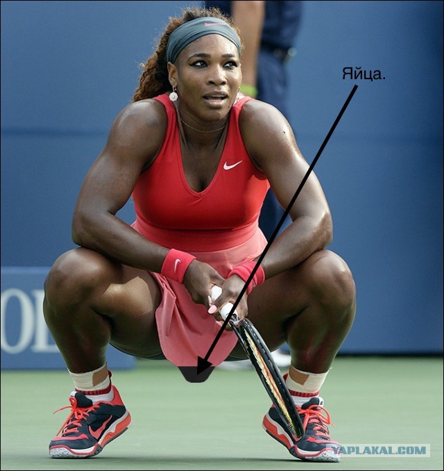 Серена Уильямс отказалась проходить допинг-тест и пожаловалась главе WTA