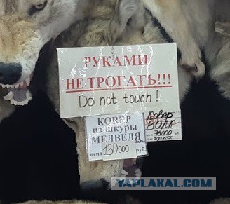 Дальний Восток действительно дальний?