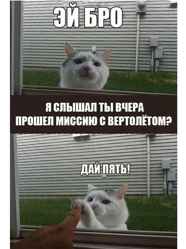 Немного картинок для настроения