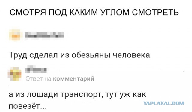 Прикольные комментарии и высказывания из Сети 23. 01.