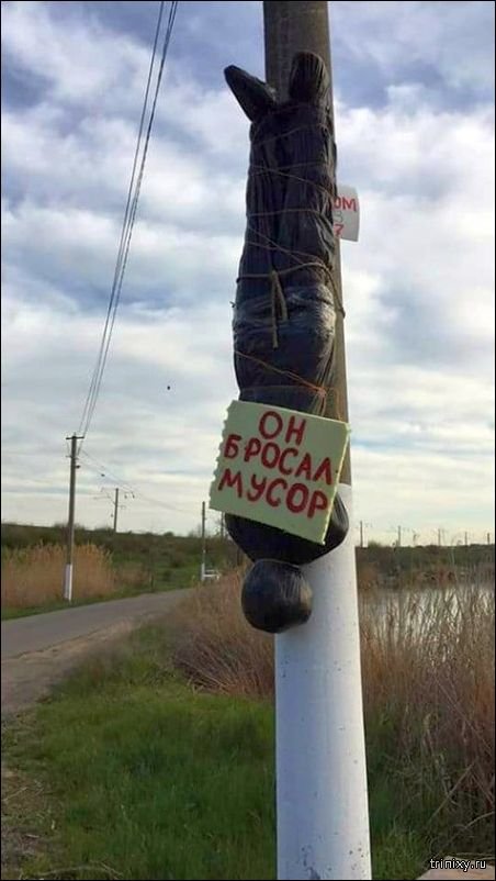 Разные картинки