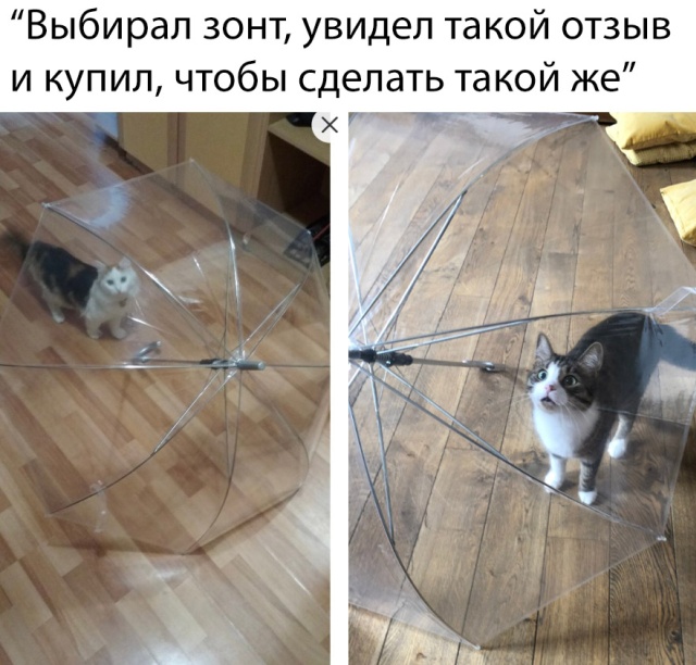 Чуток картинок (финал)