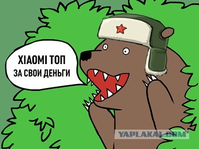 Я аж дошираком поперхнулся
